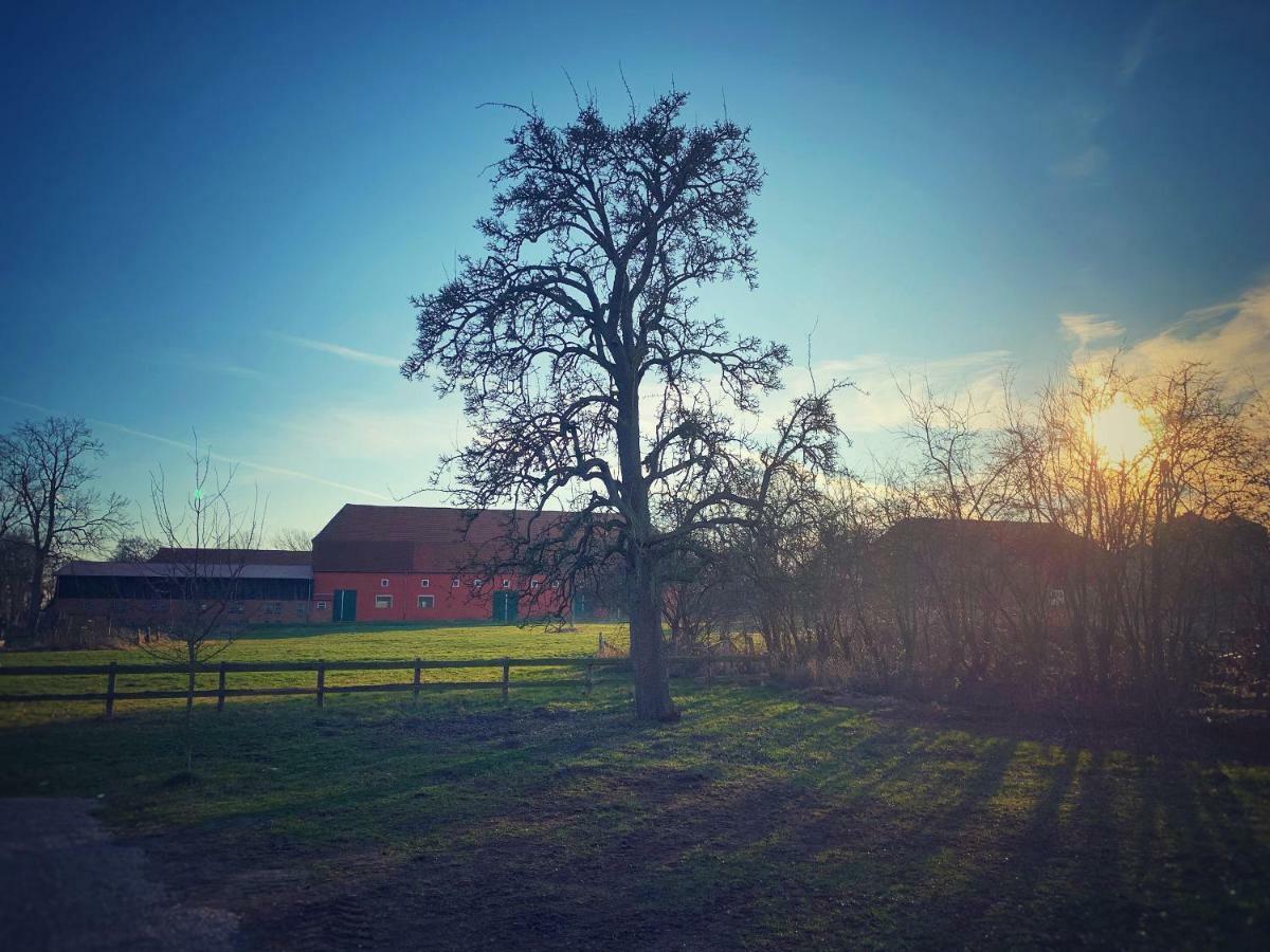 Schickes Landhaus In Koselau&Ostsee Villa Riepsdorf Buitenkant foto